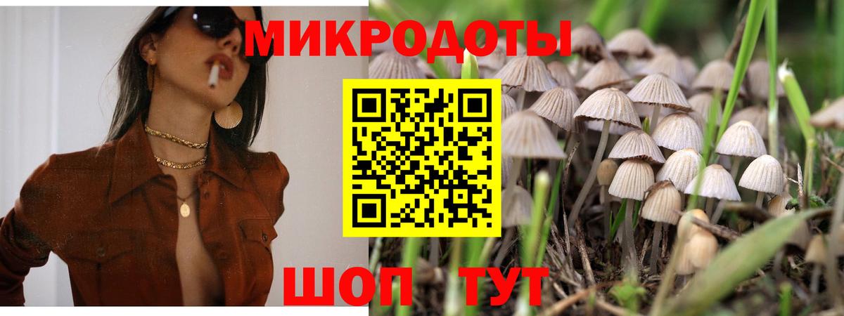 Псилоцибиновые грибы Cubensis Туймазы